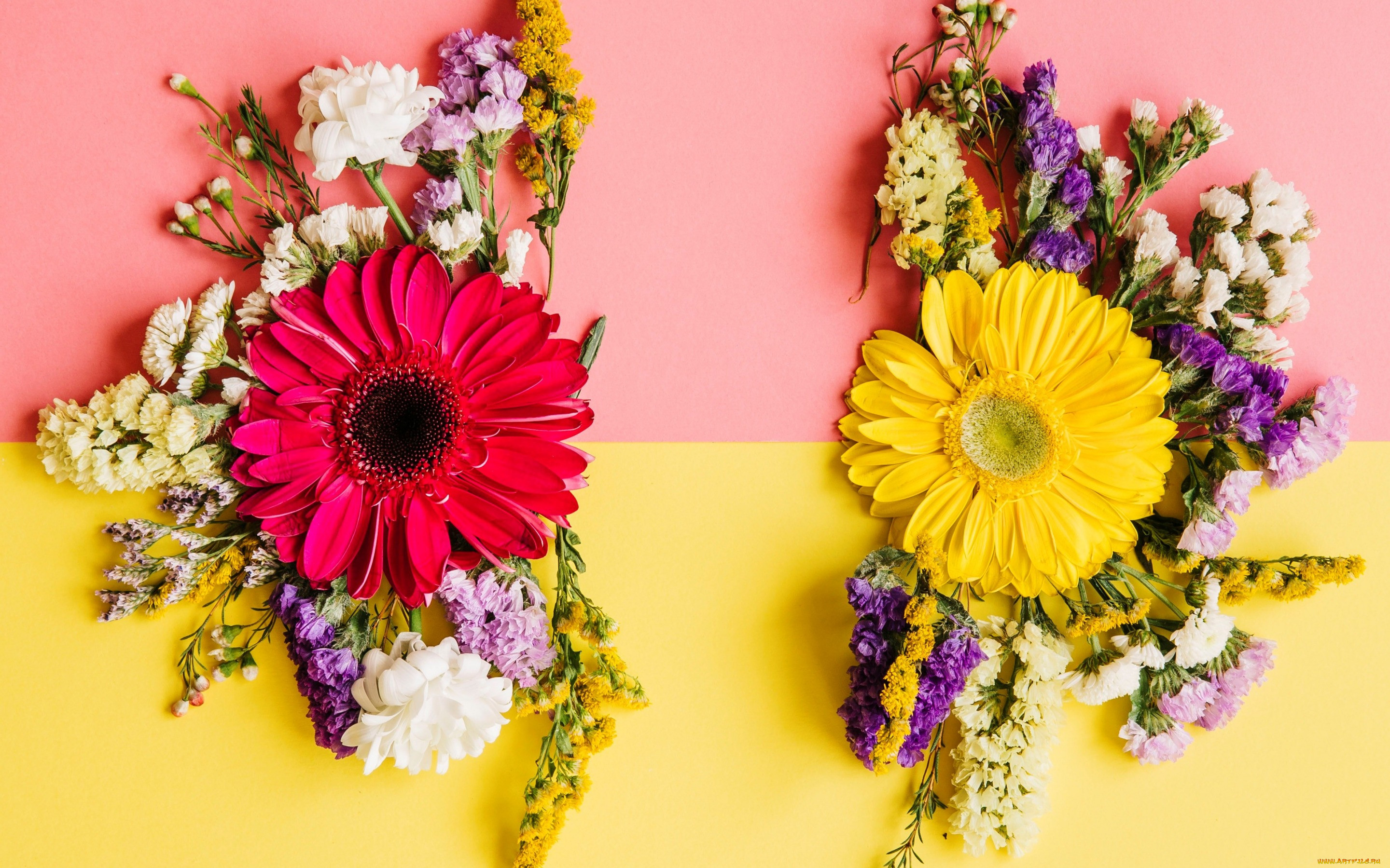 , ,  , , colorful, , bright, , spring, flowers